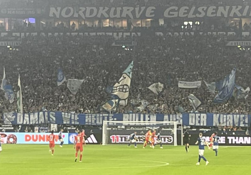 FC Schalke 04 – Holstein Kiel 0-2 (6)