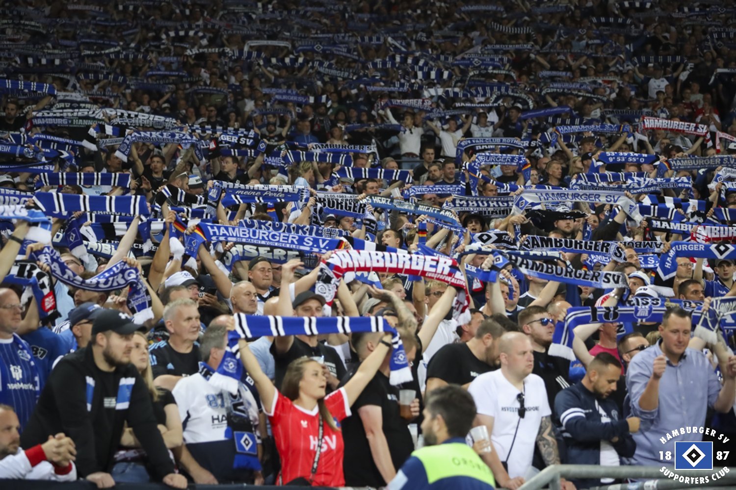 Hannover 96 – Hamburger SV 0-1 (15)