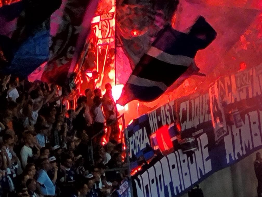 Hannover 96 – Hamburger SV 0-1 (48)