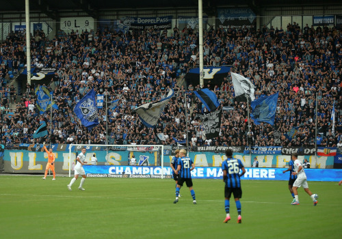 SV Waldhof Mannheim – Hallescher FC 3-2