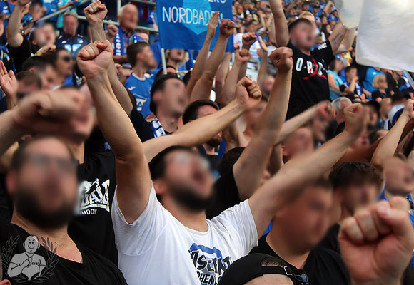 TSG Hoffenheim – VfL Wolfsburg 3-1 (3)