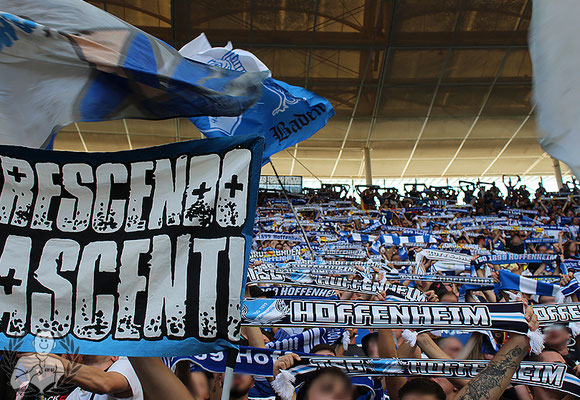 TSG Hoffenheim – VfL Wolfsburg 3-1 (8)