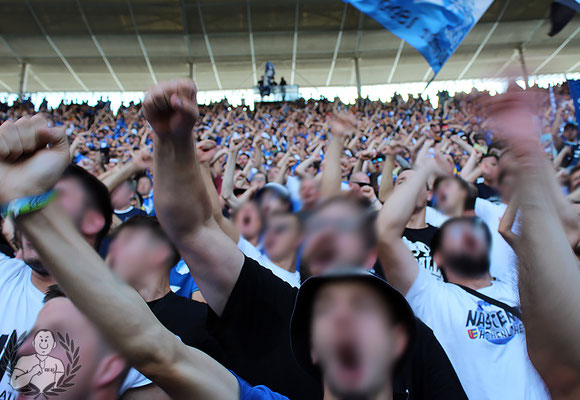 TSG Hoffenheim – VfL Wolfsburg 3-1 (9)