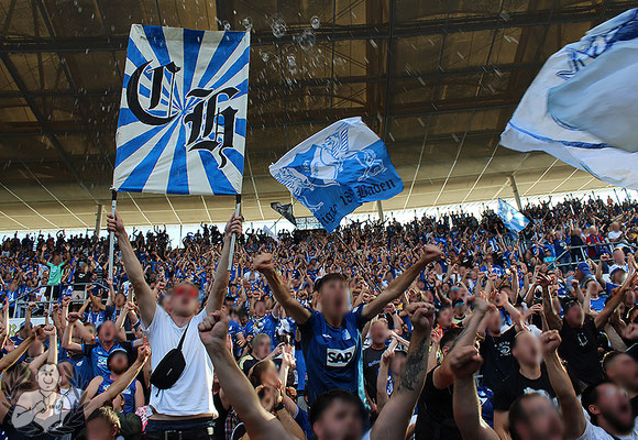 TSG Hoffenheim – VfL Wolfsburg 3-1 (15)