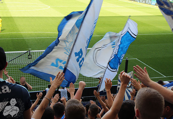 TSG Hoffenheim – VfL Wolfsburg 3-1 (23)