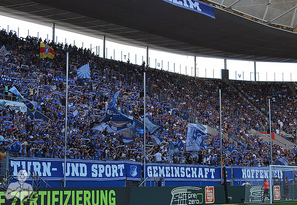 TSG Hoffenheim – VfL Wolfsburg 3-1 (24)