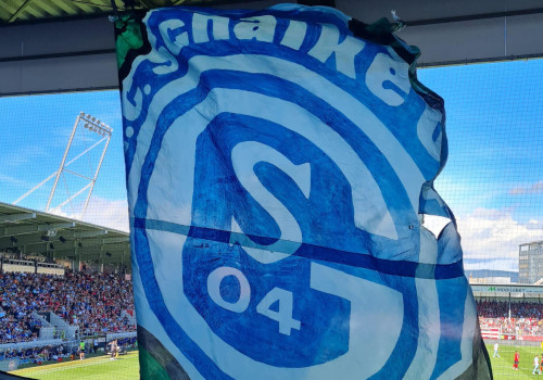 SV Wehen – FC Schalke 04 1-1