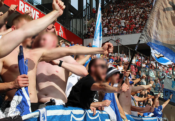 1. FC Köln – TSG Hoffenheim