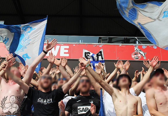 1. FC Köln – TSG Hoffenheim (1)