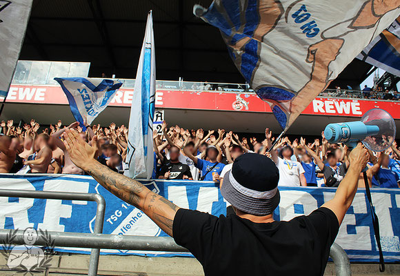 1. FC Köln – TSG Hoffenheim (2)