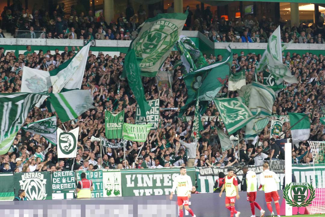 Werder Bremen – 1. FC Köln 2-1 (6)
