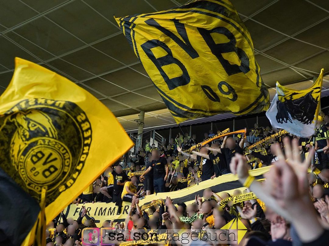 TSG Hoffenheim – Borussia Dortmund 1-3 (8)