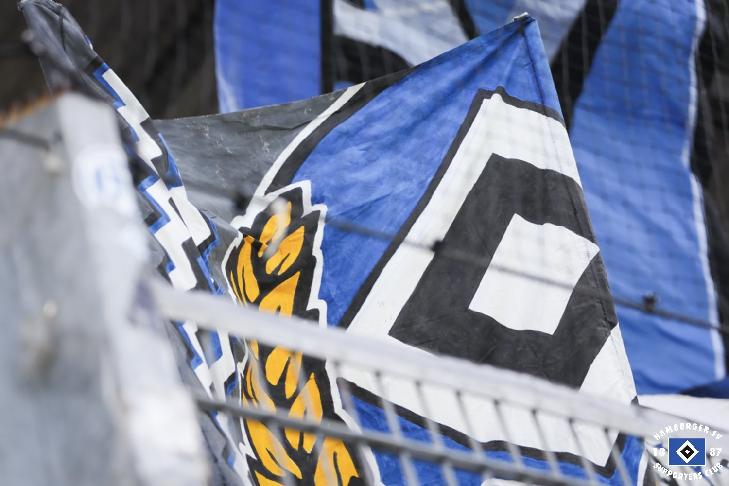 SV Wehen – Hamburger SV 1-1