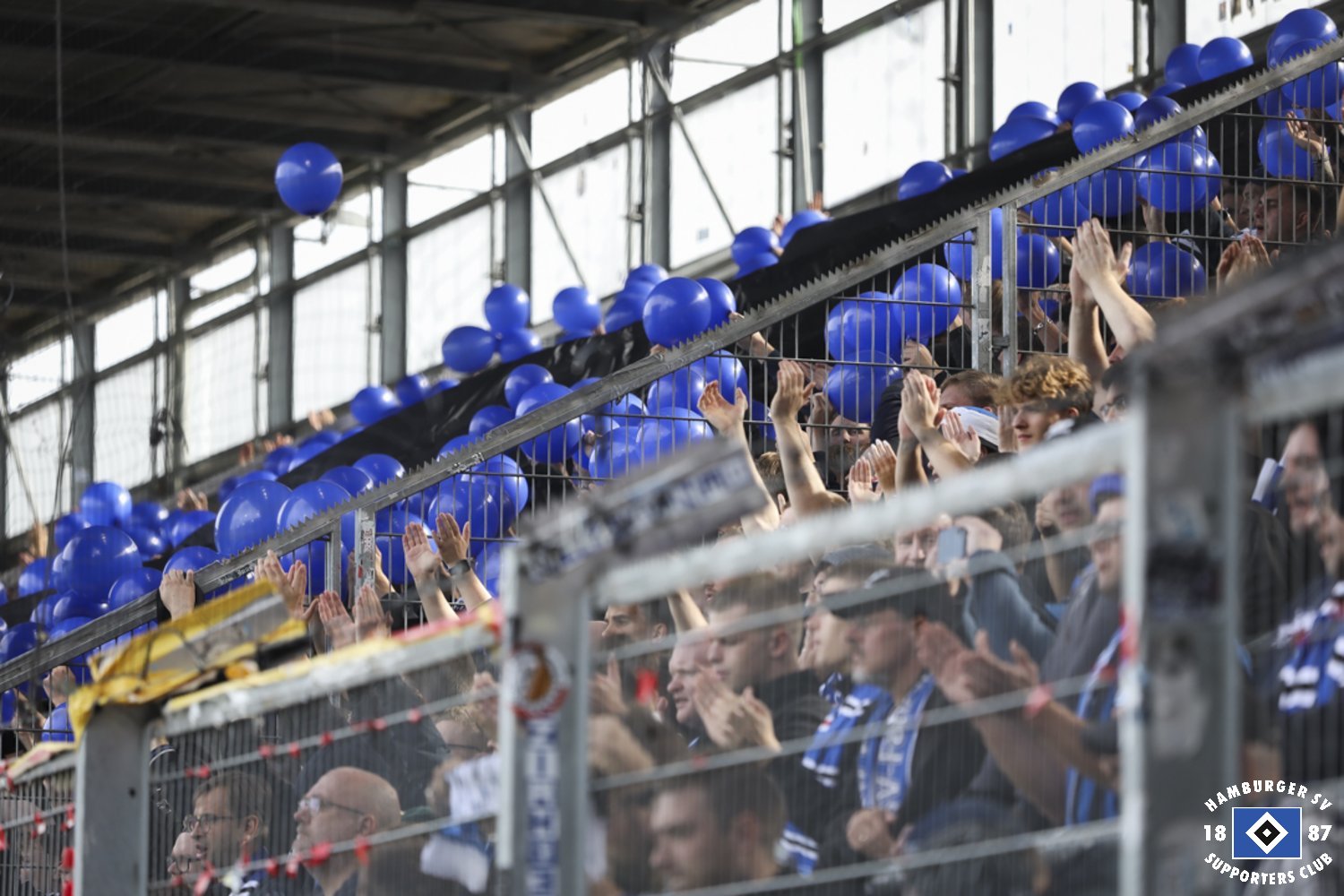 SV Wehen – Hamburger SV 1-1 (13)
