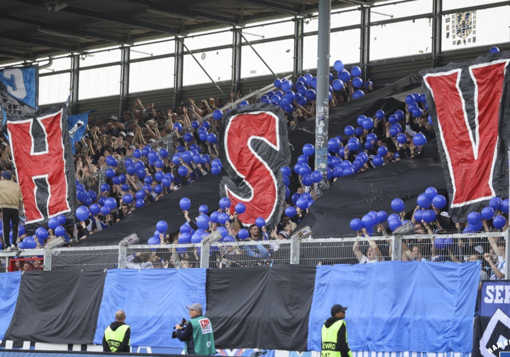 SV Wehen – Hamburger SV 1-1 (15)