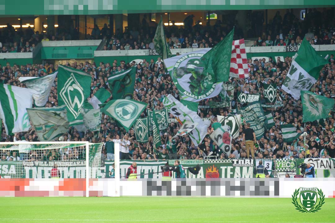 Werder Bremen – TSG Hoffenheim 2-3 (14)