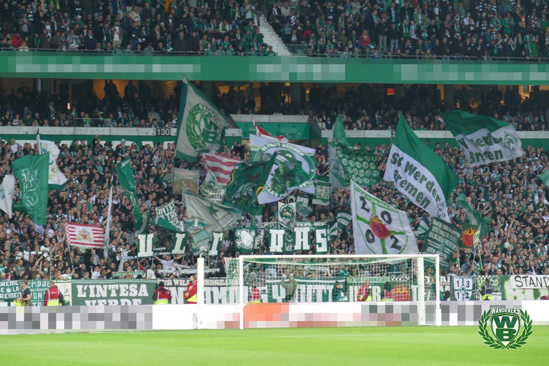 Werder Bremen – TSG Hoffenheim 2-3 (15)