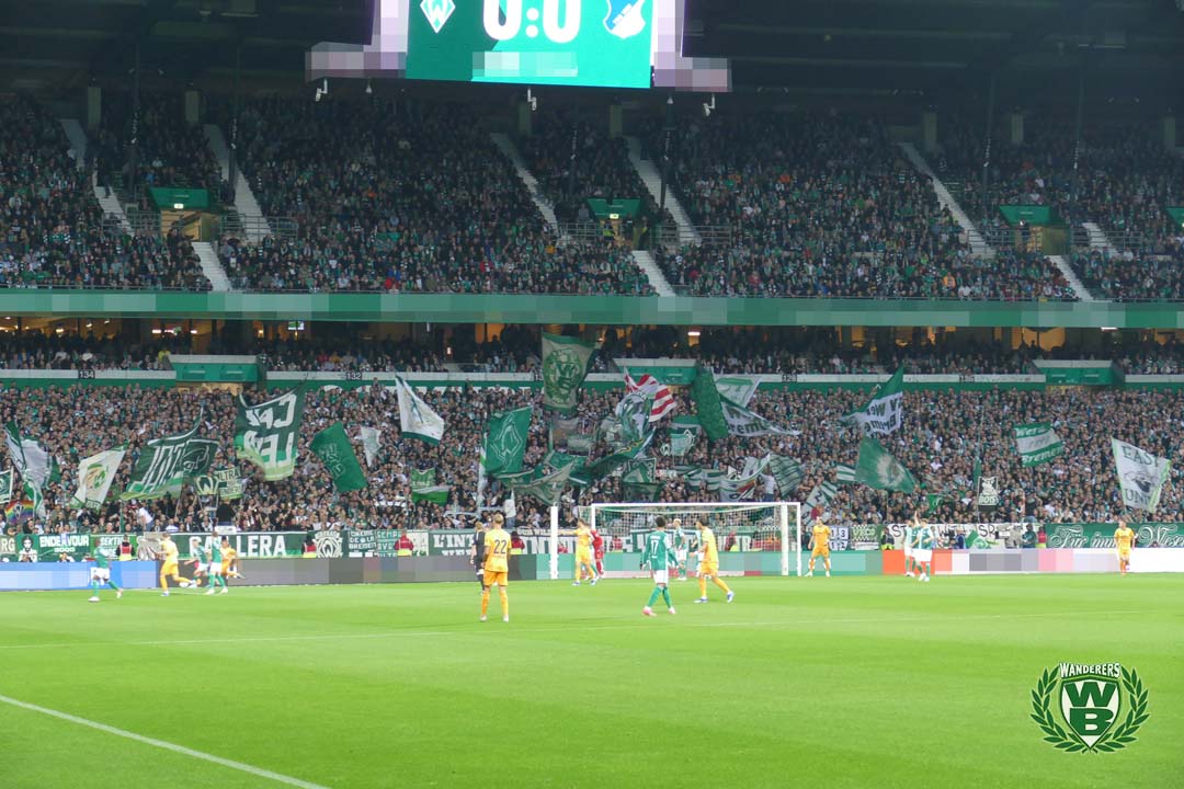 Werder Bremen – TSG Hoffenheim 2-3 (16)