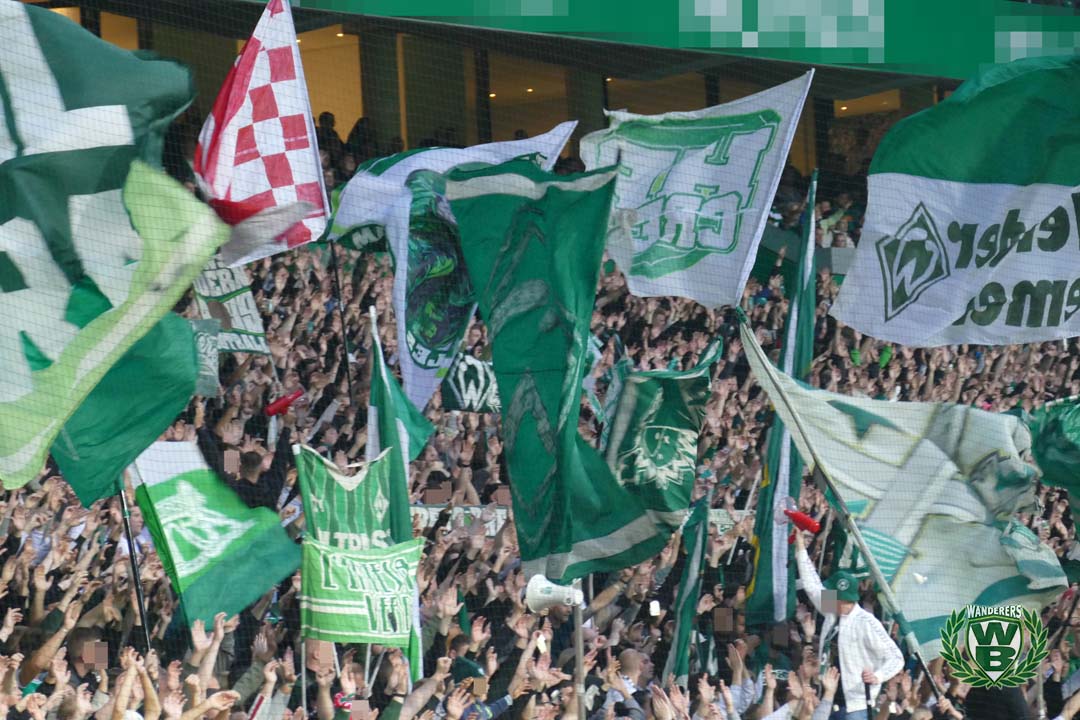 Werder Bremen – TSG Hoffenheim 2-3 (17)
