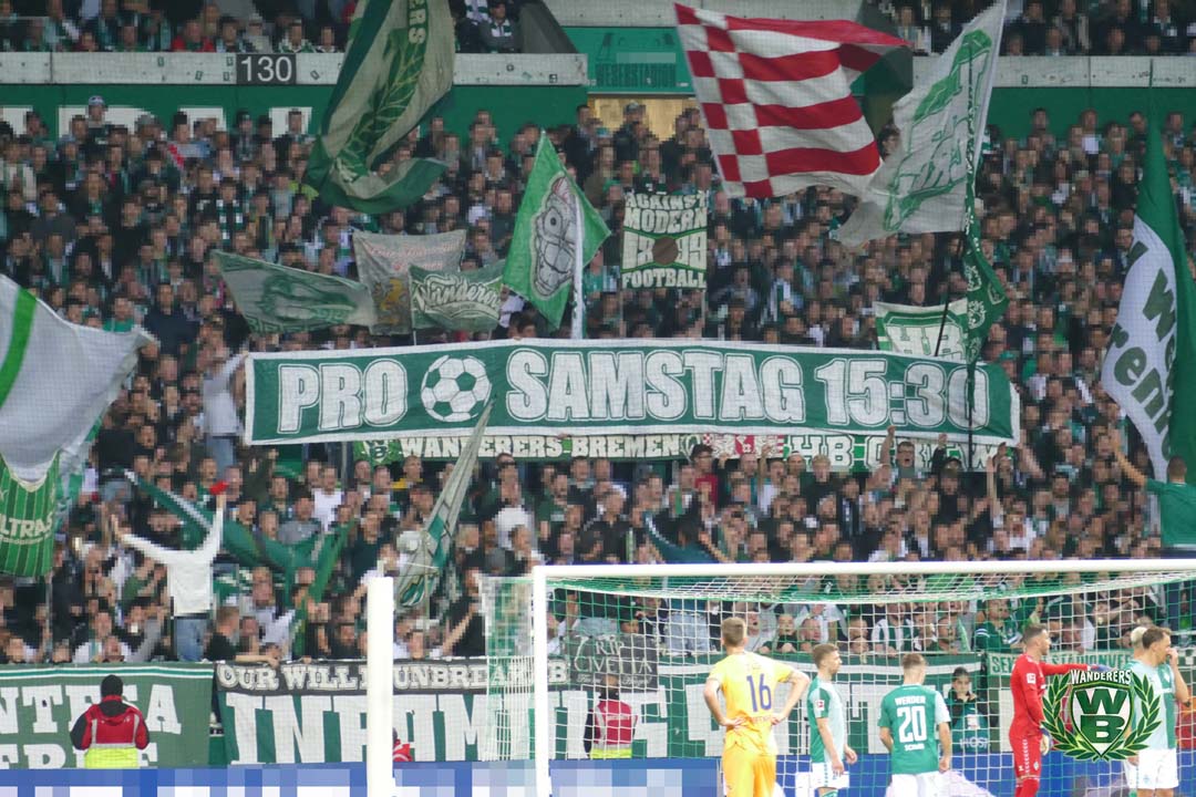 Werder Bremen – TSG Hoffenheim 2-3 (19)