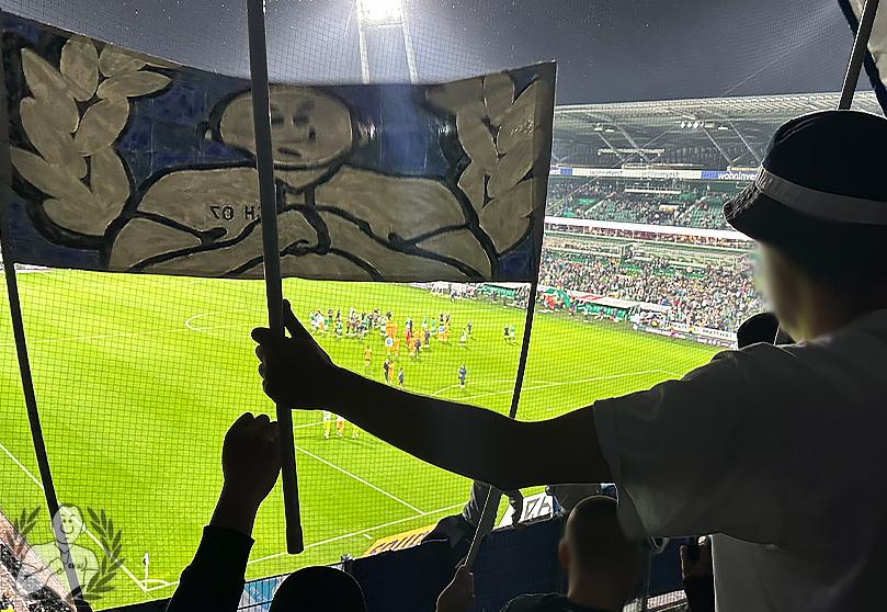 Werder Bremen – TSG Hoffenheim 2-3