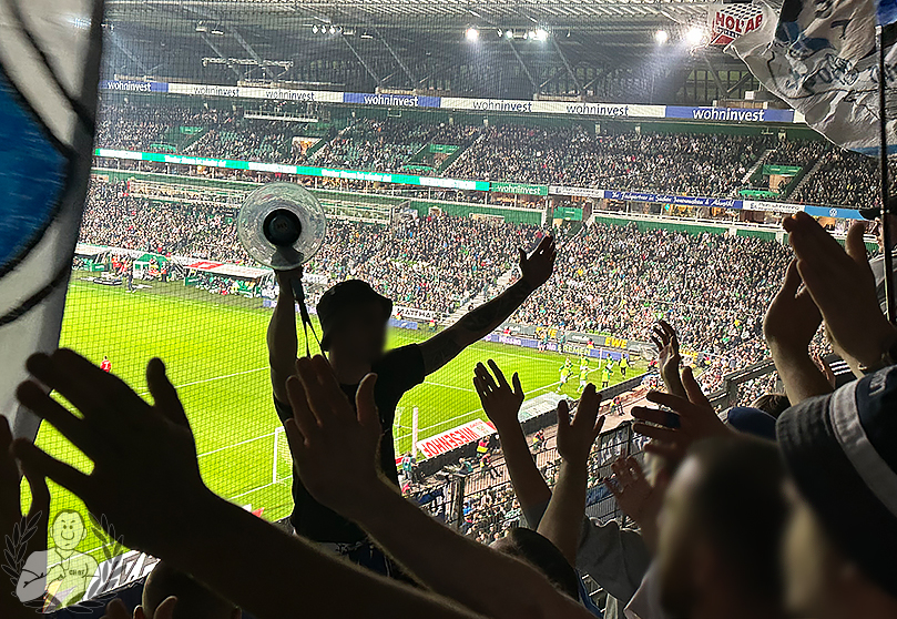 Werder Bremen – TSG Hoffenheim 2-3 (7)