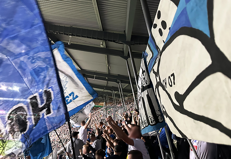 Werder Bremen – TSG Hoffenheim 2-3 (8)