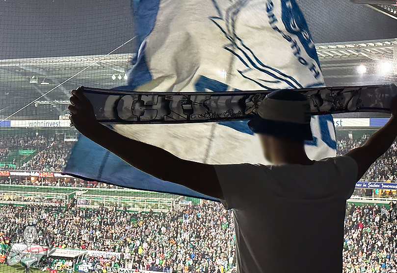 Werder Bremen – TSG Hoffenheim 2-3 (9)