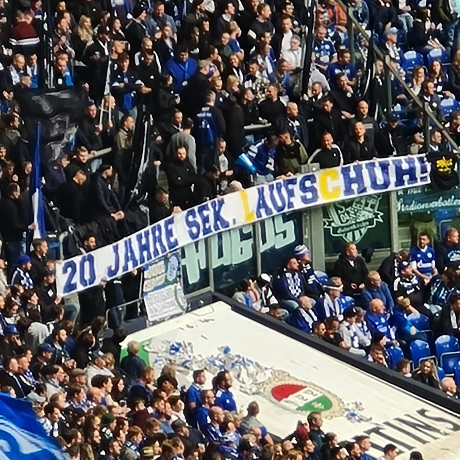 FC Schalke 04 – Hertha BSC 1-2 (11)