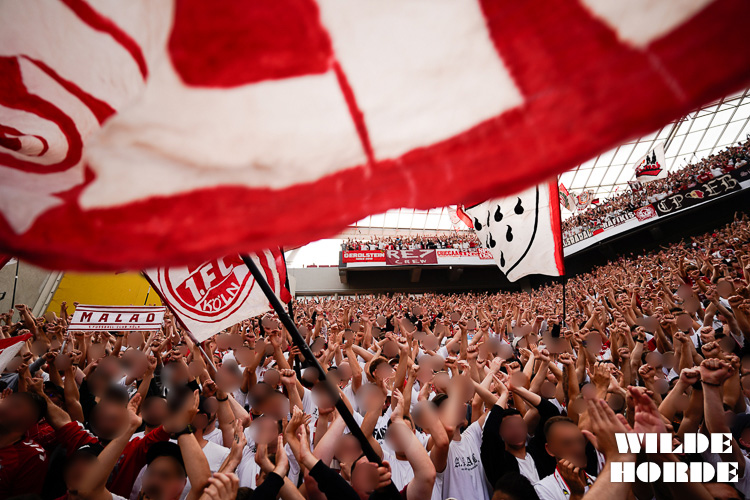 Bayer 04 Leverkusen – 1. FC Köln 3-0 (16)