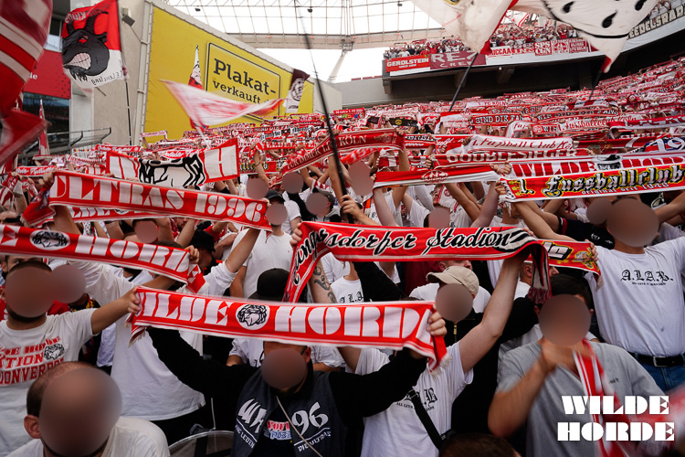 Bayer 04 Leverkusen – 1. FC Köln 3-0 (17)