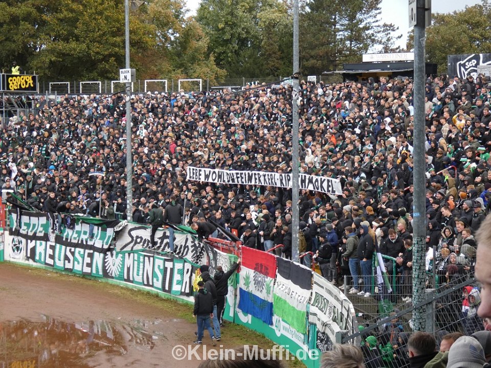 SC Preußen Münster – TSV 1860 München 1-1 (2)