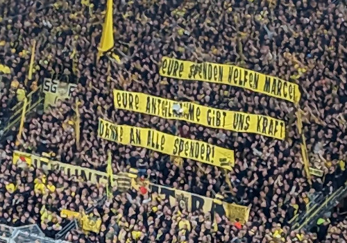Borussia Dortmund – Werder Bremen 1-0 (7)