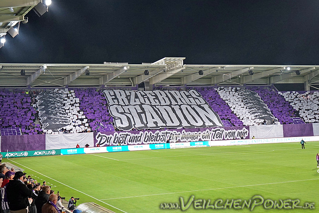 FC Erzgebirge Aue – SSV Ulm 1-2 (8)