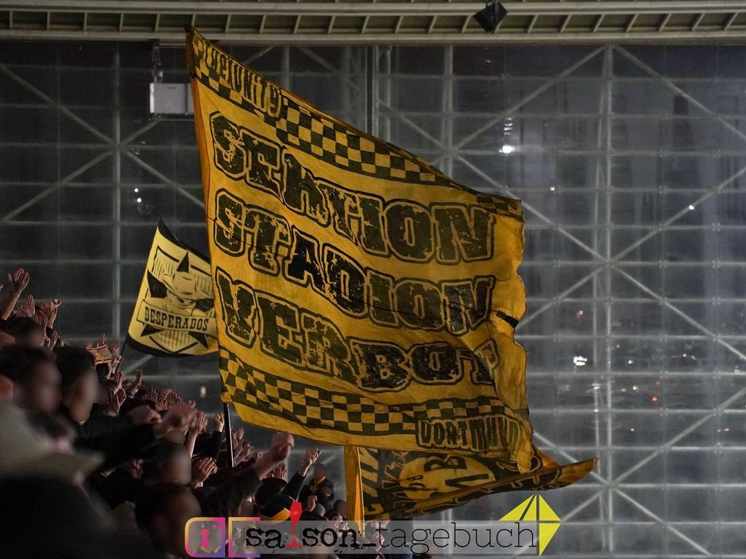 Newcastle United FC – Borussia Dortmund 0-1 (6)