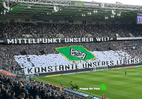 Borussia Mönchengladbach -1. FC Heidenheim 2-1 (7)