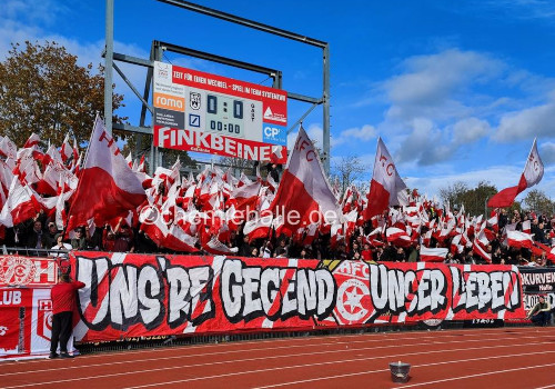 SSV Ulm – Hallescher FC 2-3