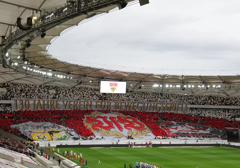 VfB Stuttgart – TSG Hoffenheim 2-3 (11)