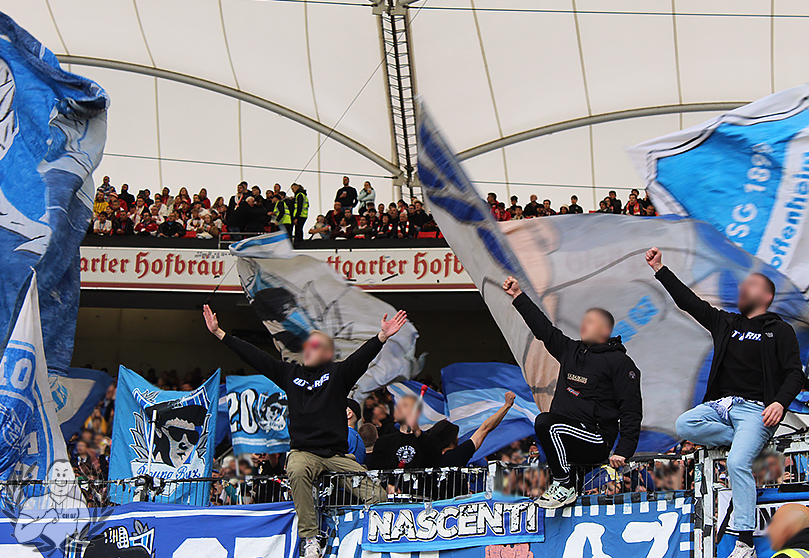 VfB Stuttgart – TSG Hoffenheim 2-3 (9)