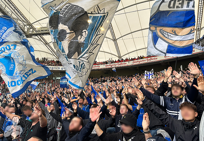 VfB Stuttgart – TSG Hoffenheim 2-3 (11)