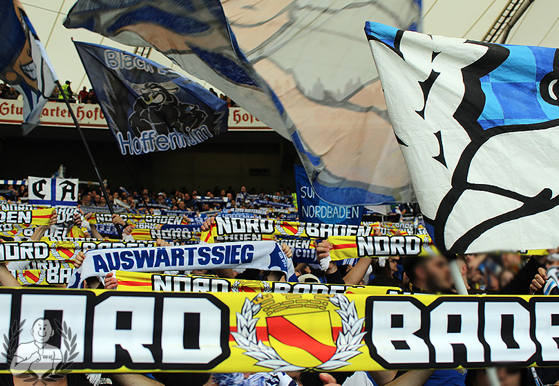 VfB Stuttgart – TSG Hoffenheim 2-3 (12)