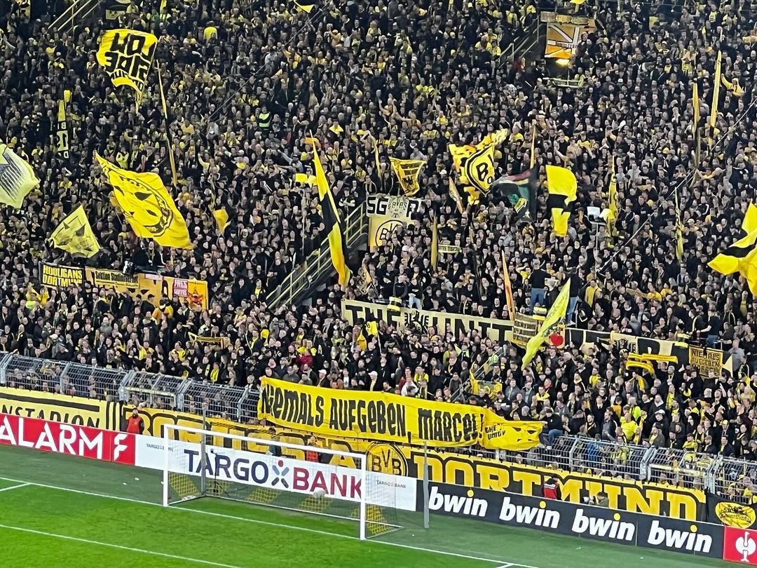 Borussia Dortmund – TSG Hoffenheim 1-0 (4)