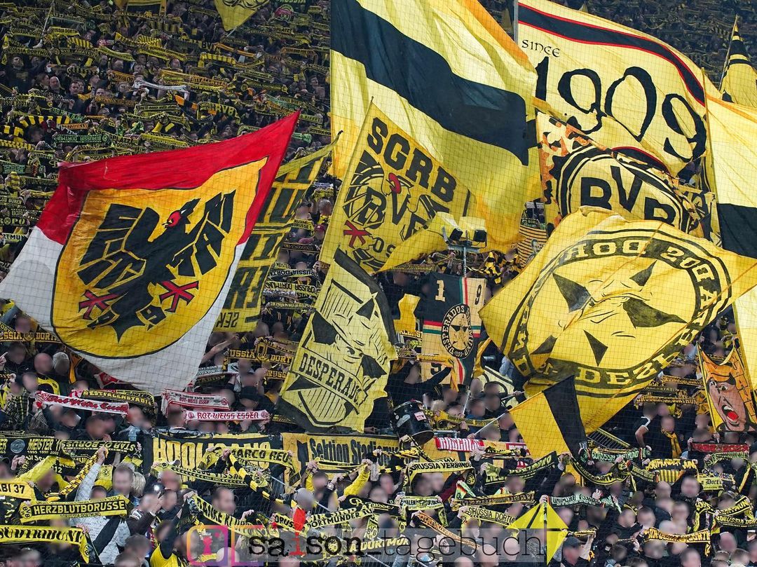 Borussia Dortmund – TSG Hoffenheim 1-0 (7)