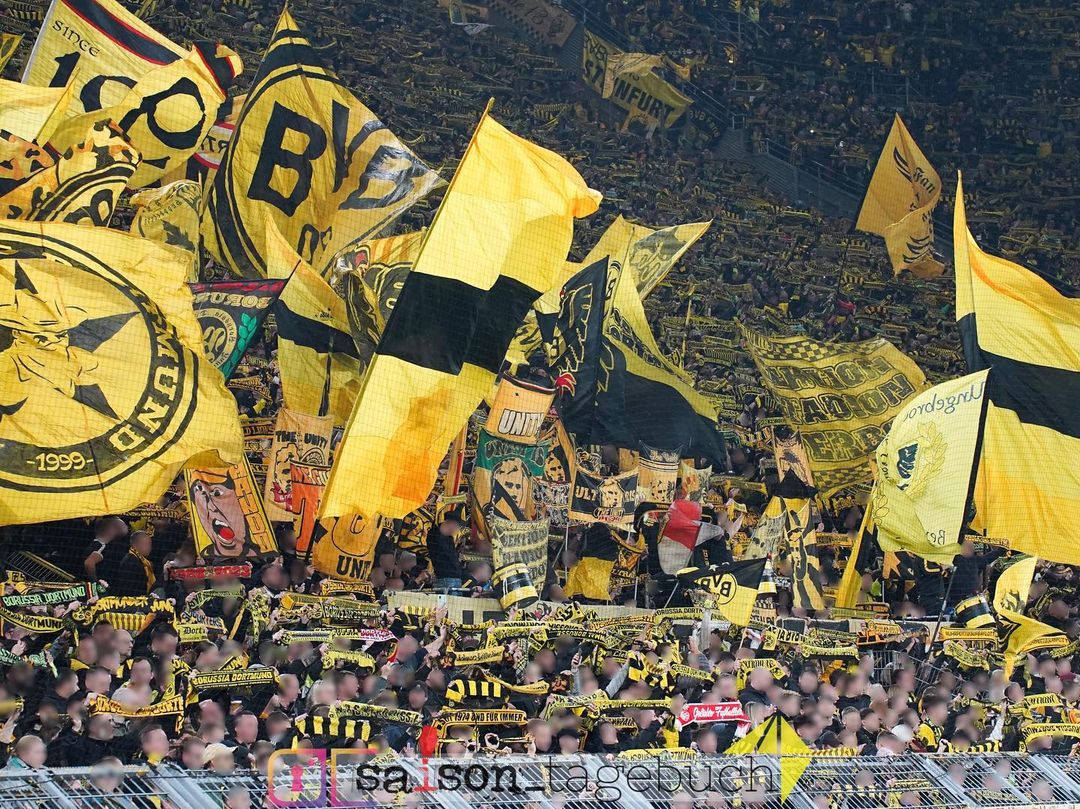 Borussia Dortmund – TSG Hoffenheim 1-0 (9)