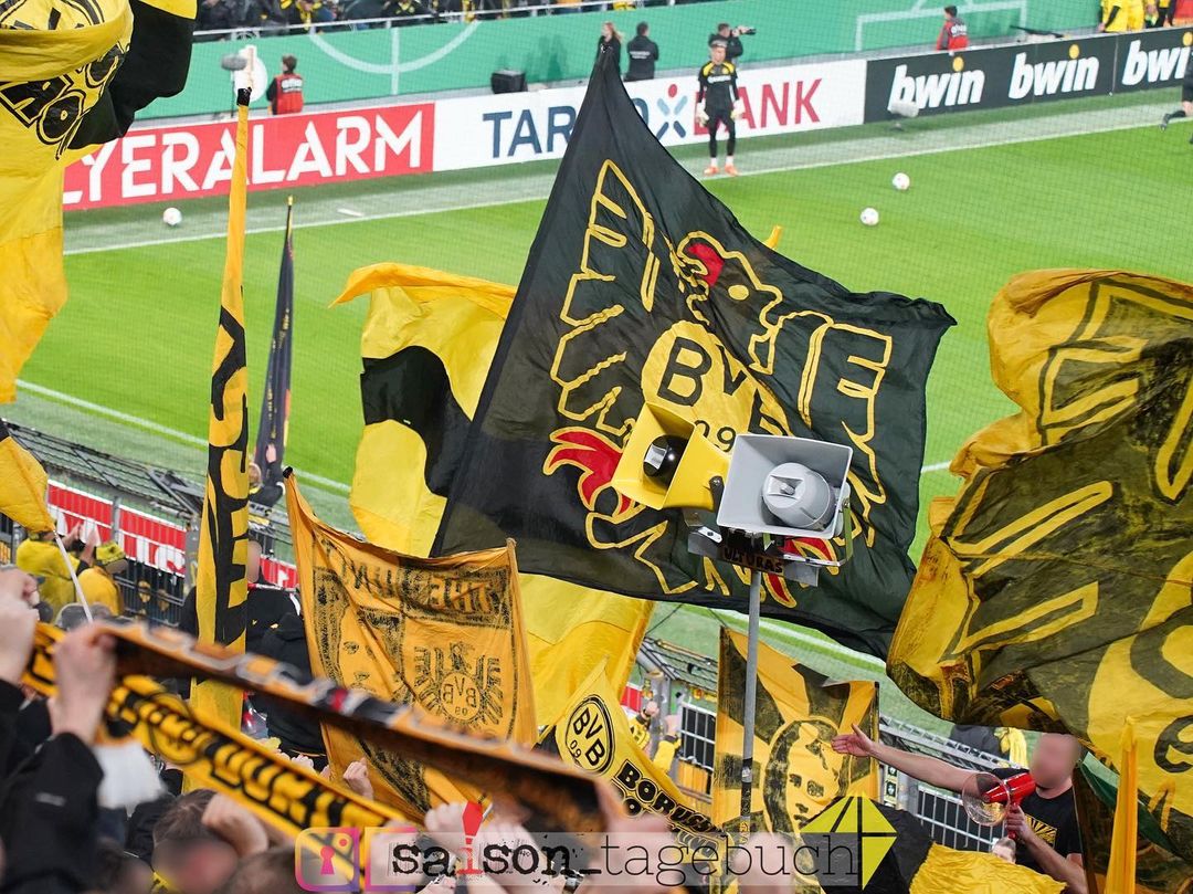 Borussia Dortmund – TSG Hoffenheim 1-0 (10)