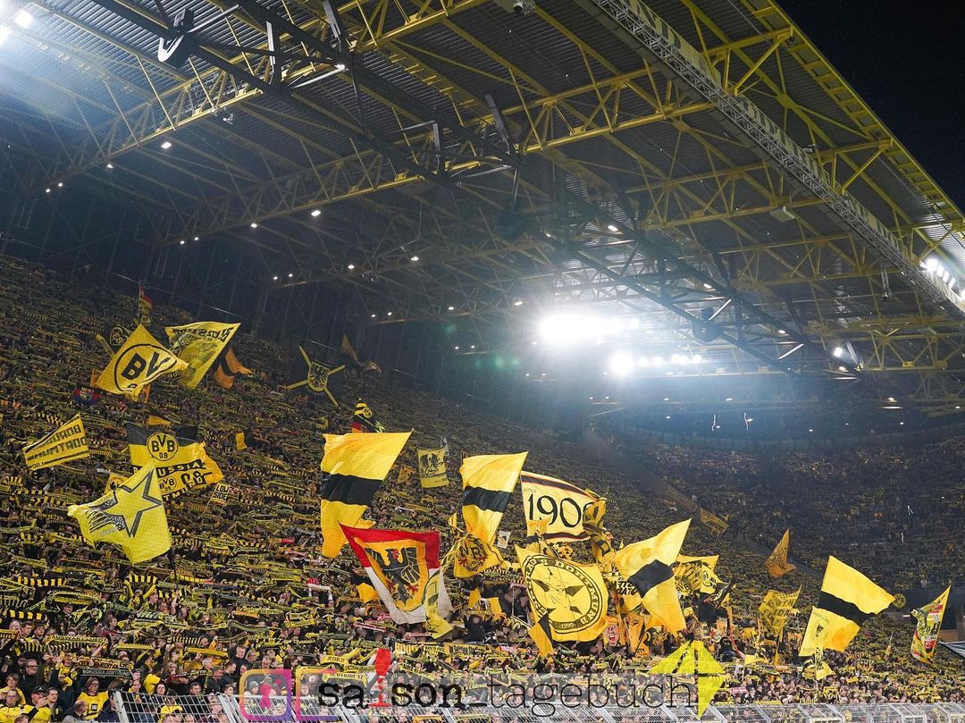 Borussia Dortmund – TSG Hoffenheim 1-0 (11)