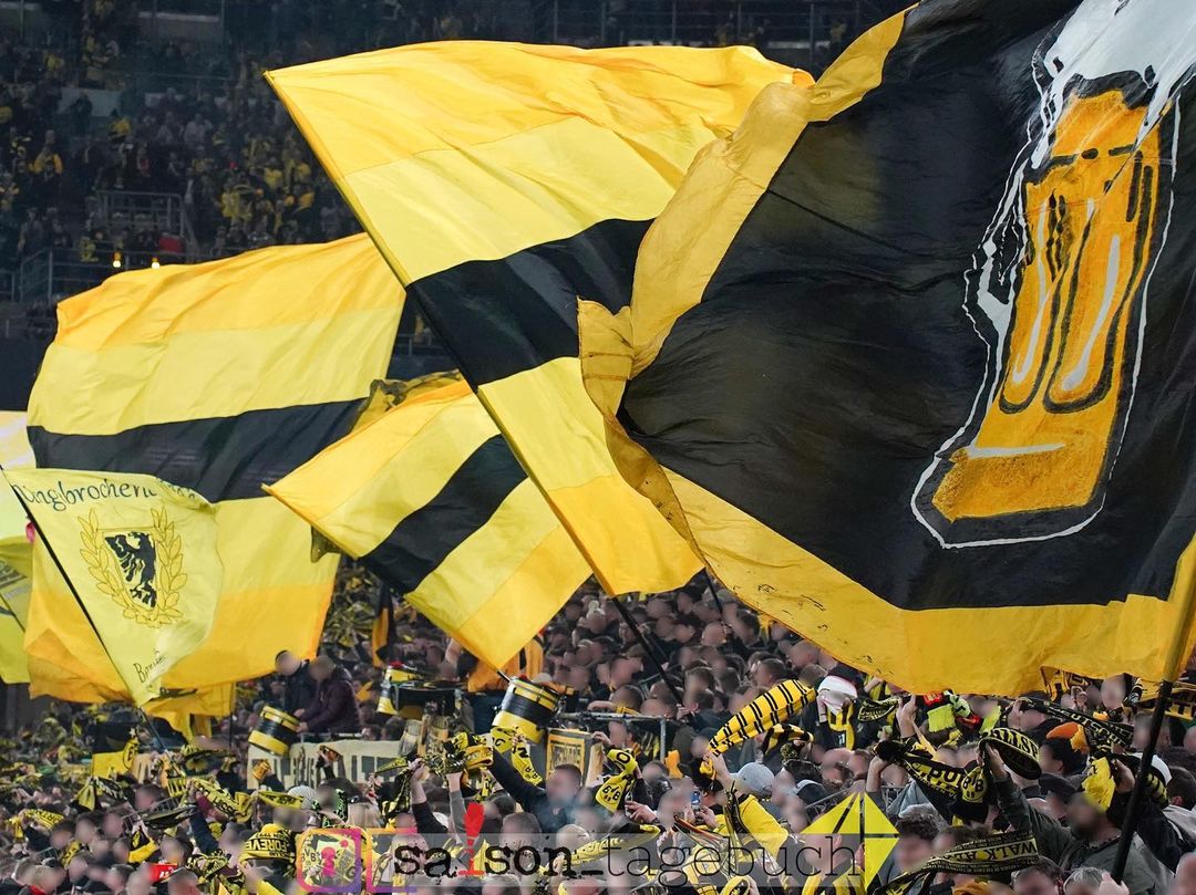 Borussia Dortmund – TSG Hoffenheim 1-0 (12)