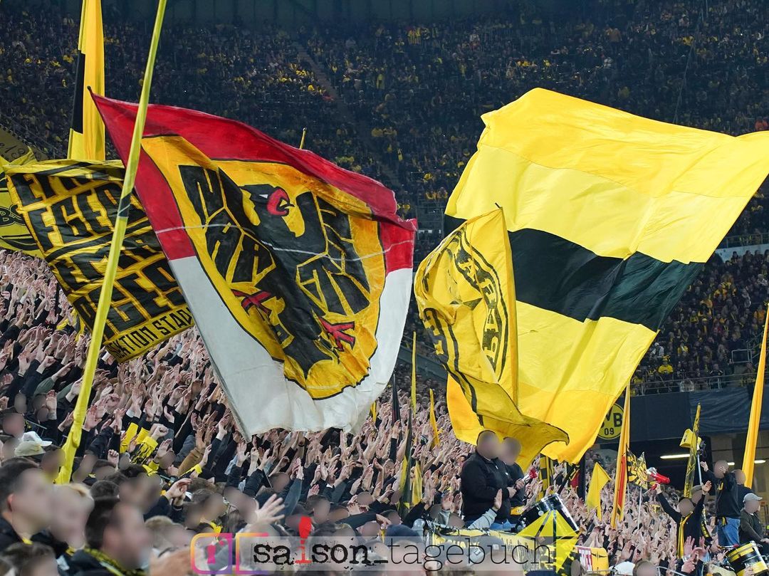 Borussia Dortmund – TSG Hoffenheim 1-0 (13)