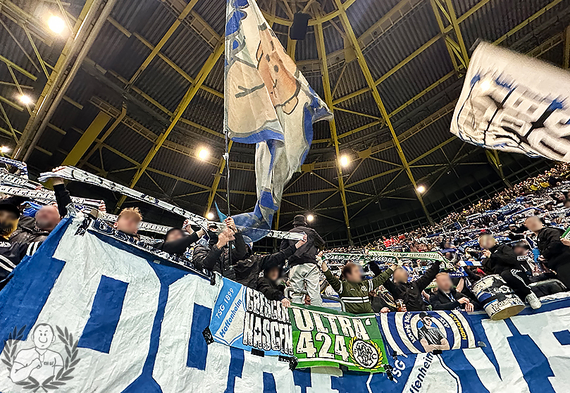 Borussia Dortmund – TSG Hoffenheim 1-0 (6)