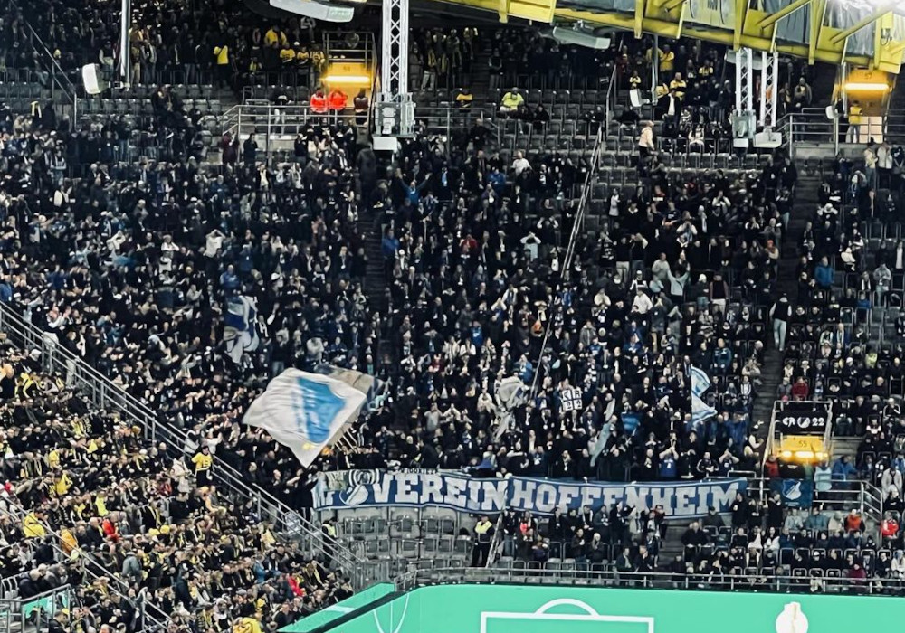 Borussia Dortmund – TSG Hoffenheim 1-0 (8)